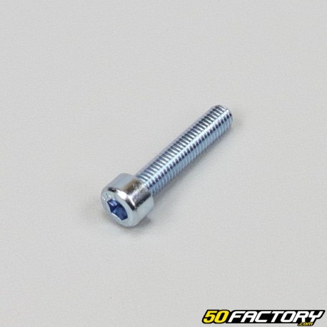 5x25mm screw BTR head (to the unit)