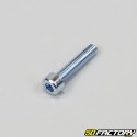 Tornillo 5x25mm cabeza BTR (por unidad)