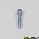 5x25mm screw BTR head (to the unit)