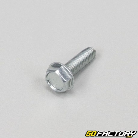 Vite 6x20mm piastra testa esagonale (per unità)