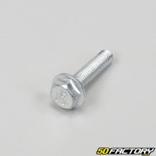 Screw 6x25mm hex front base (individually)