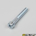 Tornillo 6x40mm cabeza BTR (por unidad)