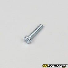 4x20 mm screws with flat head (per unit)