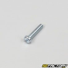 Tornillo 4x20mm con cabeza plana (por unidad)