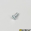 Tornillo 5x10mm cabeza plana (por unidad)