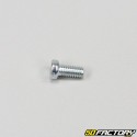 Tornillo 5x10mm cabeza plana (por unidad)