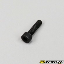 Tornillos de 5x20 mm con cabeza BTR (simple)