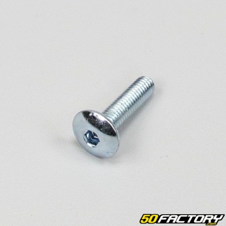 6x25mm screw BTR domed head (per unit)