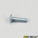 Tornillo 6x25mm cabeza BTR abovedada (por unidad)