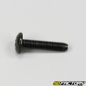 6x30mm cross head screw (per unit)