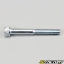 Screw 6x50 mm head BTR V1 (per unit)