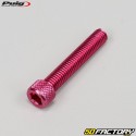 Viti 8x45 mm testa BTR Puig rosso (set di 6)