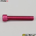 Viti 8x45 mm testa BTR Puig rosso (set di 6)