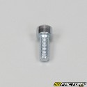 6x16mm screw BTR head (to the unit)