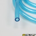 Transparent blue fuel hose
