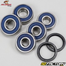 Rear wheel bearings and seals Yamaha PW 50 All Balls