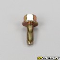 Minarelli vertical and horizontal muffler screw MBK Booster,  Nitro... (batch of 10)