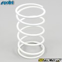 Benelli K2 clutch push spring, Piaggio Typhoon,  Zip,  Gilera... Polini Evolution