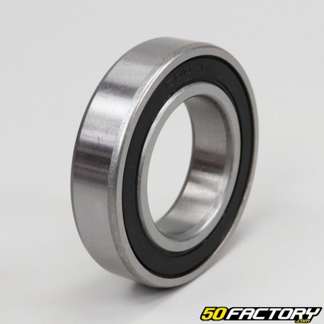 6007-2RS bearing