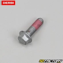 Tornillo de disco de freno original Derbi DRD, Gilera SMT, Aprilia ...