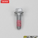 Viti disco freno originali Derbi DRD, Gilera SMT,  Aprilia...