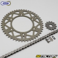 Kit chaîne 13x49x116 Beta RR Racing 390 Afam gris