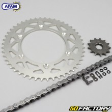 Kit de cadena con juntas tóricas 13x48x112 Beta RR Enduro 498, 520 Afam gris