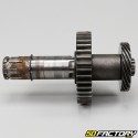 Dinli DL801 gearbox secondary shaft and Masai 300, 330...