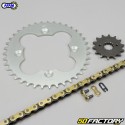 14x39x94 Kit catena rinforzata Honda TRX 400 (2005 - 2011) Afam  or
