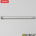 Rear wheel axle Derbi Senda DRD Racing (2004 - 2010), DRD Xtreme, Gilera SMT,  RCR (2011 - 2017)