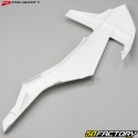 KTM radiator cowls SX 125, 150, SX-F 250, 350, 2016... (2018 - XNUMX) Polisport white