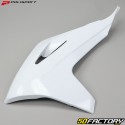 Rejillas de radiador Gas Gas EC 250, MC 350, 450 F... (2021 - 2023) Polisport blanco