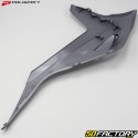 Radiator louvres Gas Gas EC 250, MC 350, 450 F... (2021 - 2023) Polisport nardo gray