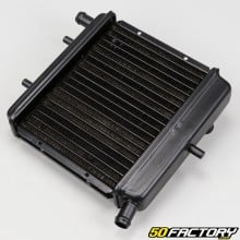 Radiateur Aprilia RS 50 (1991 - 2005)