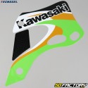 Kit déco Kawasaki KX 125, 250 (1999 - 2002) Tecnosel origine 2000