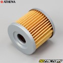 Oil filter FFC003 Suzuki, Hyosung ... Athena