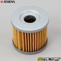 Oil filter FFC003 Suzuki, Hyosung ... Athena