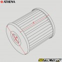 Oil filter FFC003 Suzuki, Hyosung ... Athena