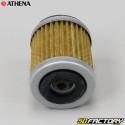 Filtro olio FFC006 Yamaha YFM,TM Racing... Athena