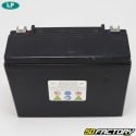 Batteria Landport YTX24H-3 SLA 12V 21Ah Acido artico senza manutenzione Cat Sabrecat, Kawasaki Intruder,  Polaris Indy ...