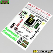 Adesivos Bud Racing  Kawasaki... XNUMXxXNUMX cm (placa)