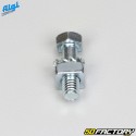 Tornillo de corona de llanta de radios de 6 x 20 mm Peugeot 103, MBK 51, Motobécane... Algi