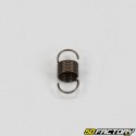 Clutch shoe spring (without variator) Piaggio Ciao