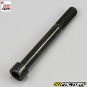 Screw 10x85 mm shock absorber link Generic Trigger, Ksr TR, Ride Thorn...