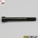 Screw 10x85 mm shock absorber link Generic Trigger, Ksr TR, Ride Thorn...