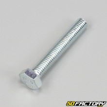 Tornillo de 8x50 mm de cabeza hexagonal (por unidad)