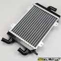 Adaptable radiator Peugeot Speedfight 1, 2