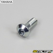 Vis de couronne 10x30 mm Yamaha YFZ 450 R, Raptor 700... (à l'unité)