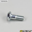 Tornillos corona 10x30 mm Yamaha YFZ 450R, Raptor 700 ...