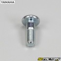 Tornillos corona 10x30 mm Yamaha YFZ 450R, Raptor 700 ...